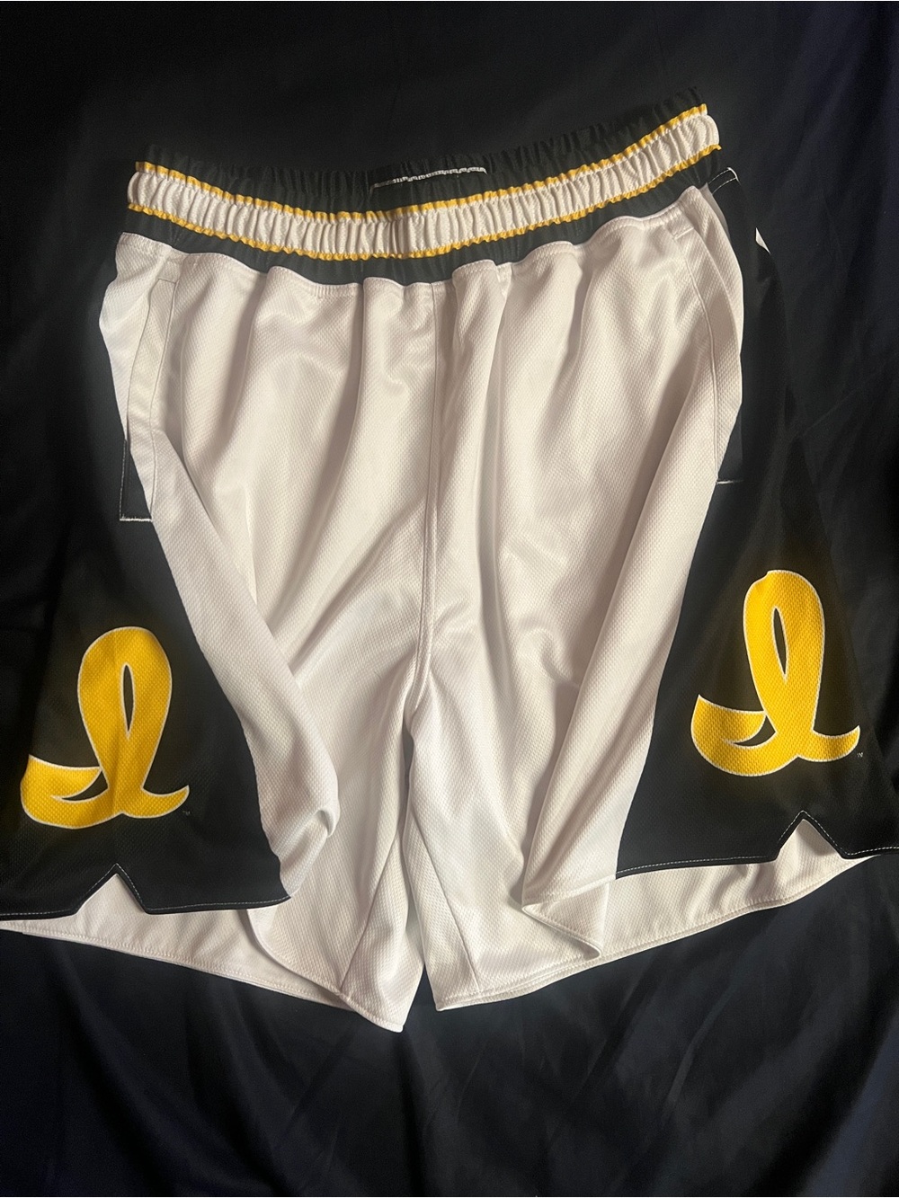 19NINE Iowa Hawkeyes Basketball Shorts Large